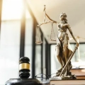 Suçluların İadesi Geri Verilmesi Şartları